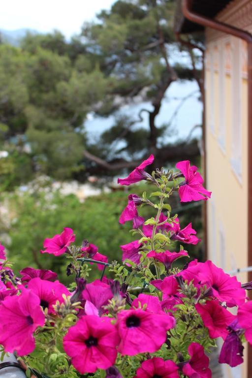 Il Timone Lerta Hotel Monterosso al Mare Ngoại thất bức ảnh